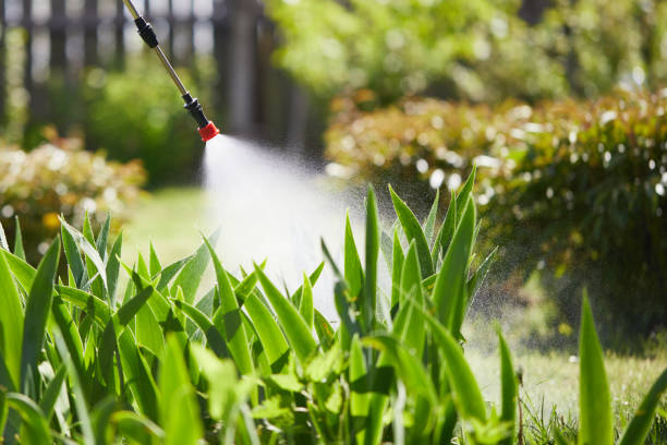 24/7 Emergency Mosquito Control experts in Stallion Springs, CA
