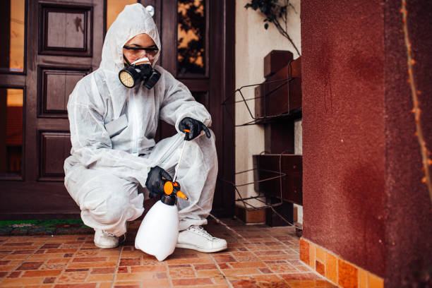 Reliable Mosquito Control contractor in Stallion Springs, CA by Show Me Pest Control